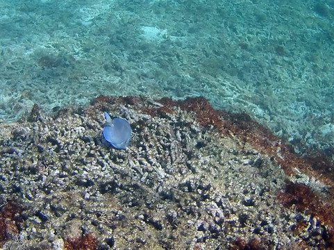 Tarzan Excursion Guadeloupe-Sainte-Anne必去景点