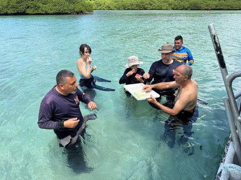 Golden Frog Scuba-Portobelo必去景点