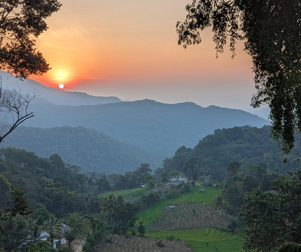 Sri Lankan Personal Drivers-科伦坡必去景点