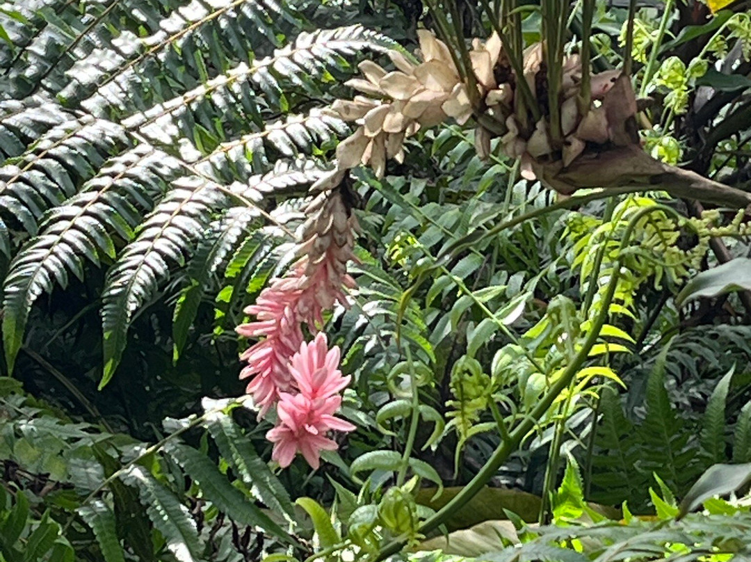 The Kings Gardens Maui-Huelo必去景点