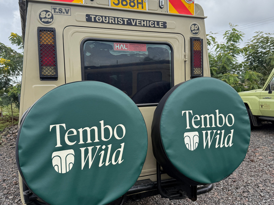 Tembo Wild-内罗毕必去景点