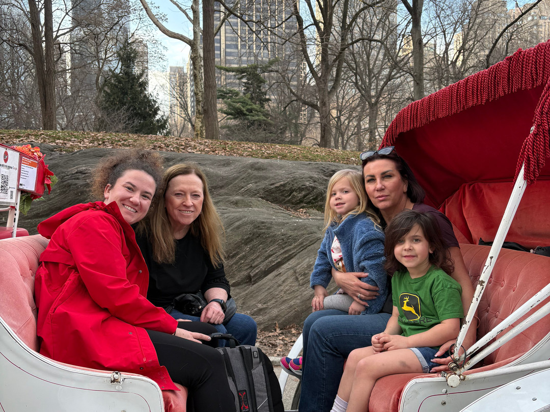 NYC horse carriage services-纽约市必去景点