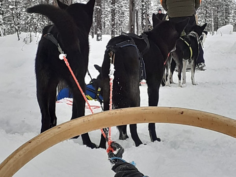 Hetta Huskies-Enontekiö必去景点