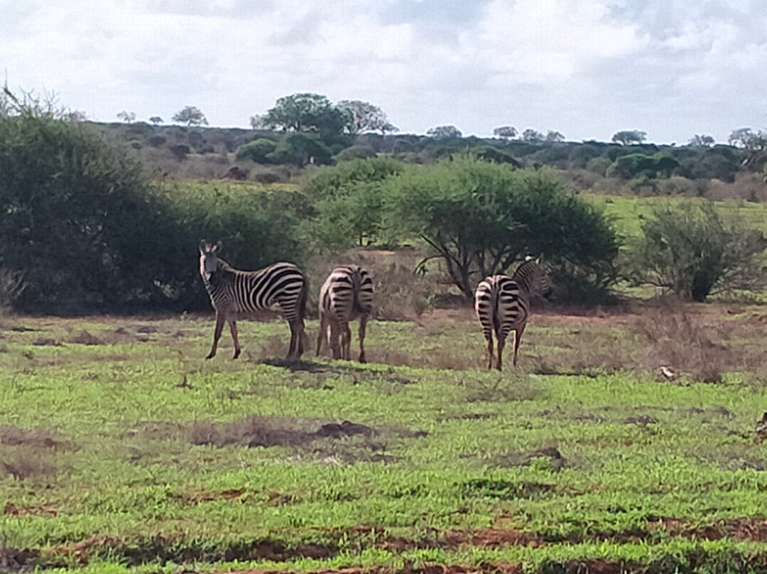 Info Kenya Tours-瓦塔木必去景点