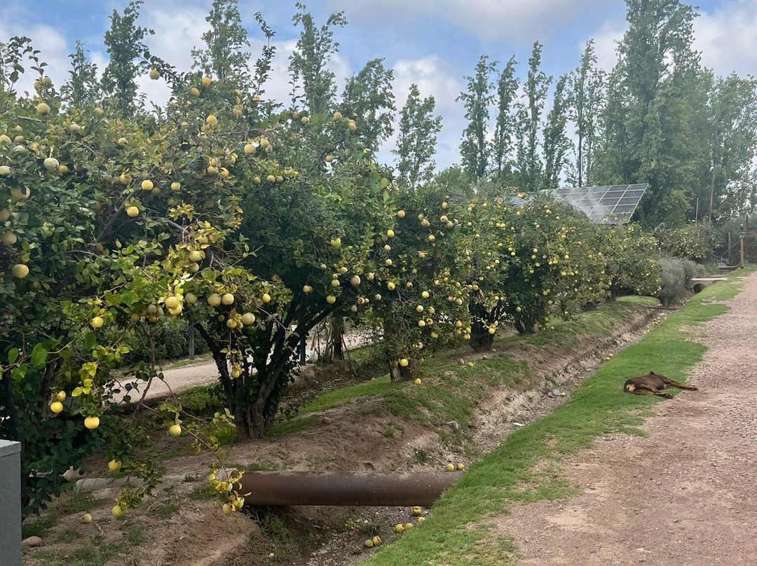 Casa El Enemigo-Maipu必去景点