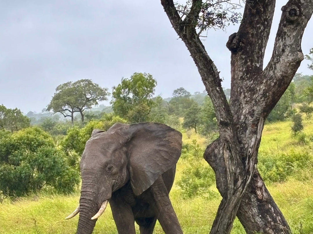 Wild And Free Safaris-霍德斯普鲁特必去景点