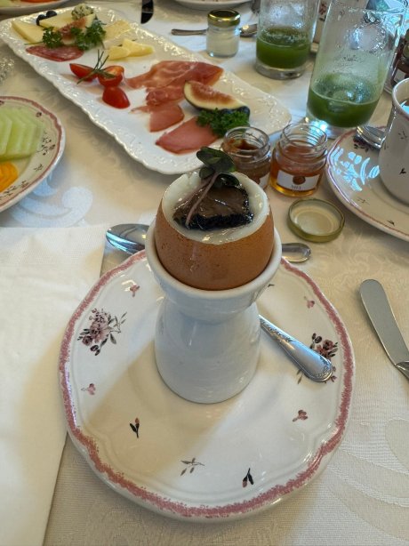 法国山丘酒店-官方