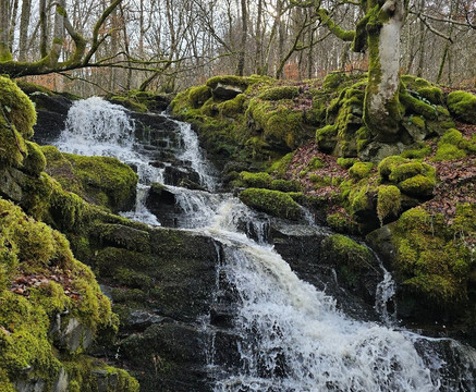 The Birks of Aberfeldy-Aberfeldy必去景点