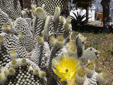Bodega RGMX-Parras de la Fuente必去景点