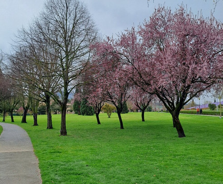 Museo Universidad de Navarra-潘普洛纳必去景点