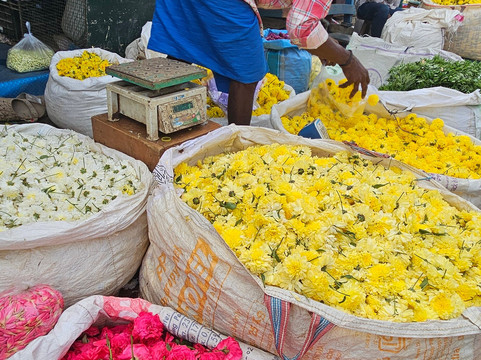 BOUT INDIA TOURS-斋蒲尔必去景点