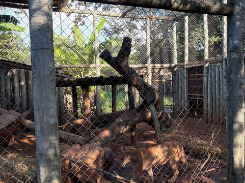 Bio Park-博尼图必去景点