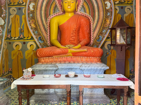 Riu Lanka Tours (PvT) Ltd-亚洪加拉必去景点