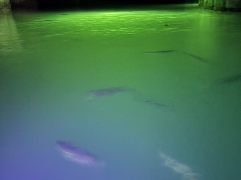 SUP Kentucky-Rogers必去景点