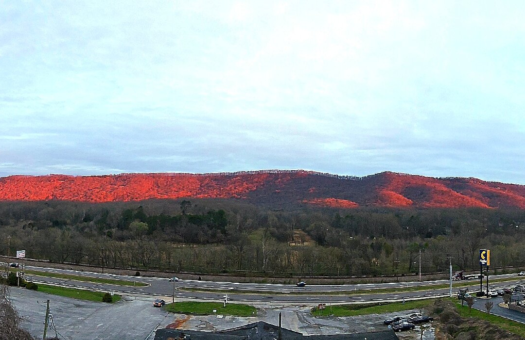 智选假日套房酒店哈里曼 by IHG主图