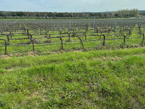 Tapada de Coelheiros-Igrejinha必去景点