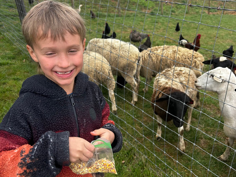 Cress Creeks Farm And Corn Maze-Ellijay必去景点