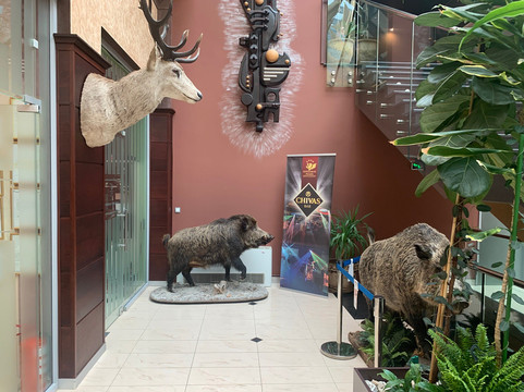 外交广场酒店度假村主图