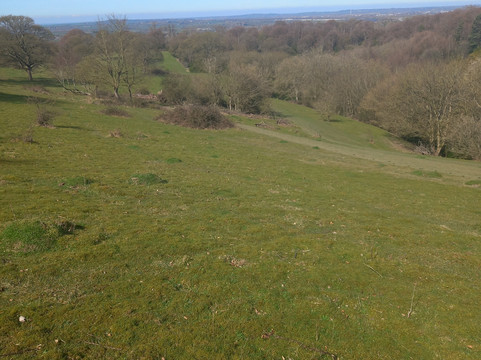 Coombe Hill-艾尔斯伯里必去景点