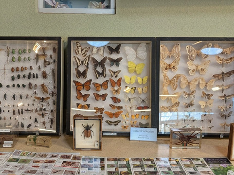 River Bend Nature Center-威奇托福尔斯必去景点