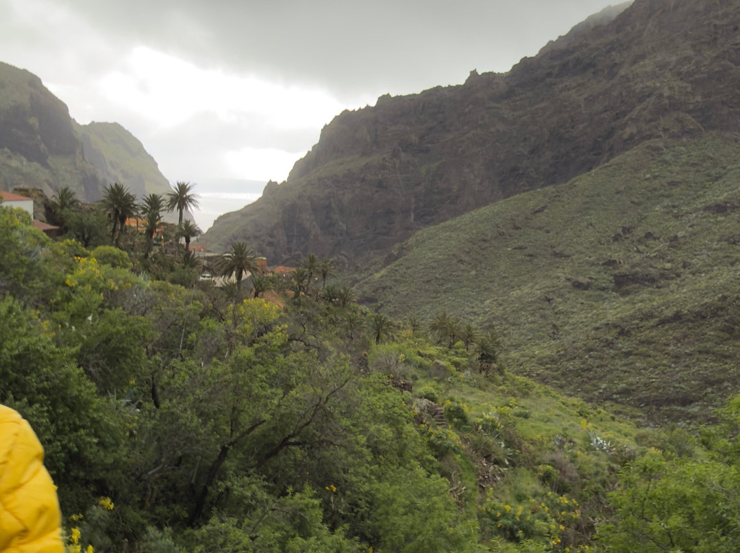 Tenerife First Excursions-奥德杰海岸必去景点