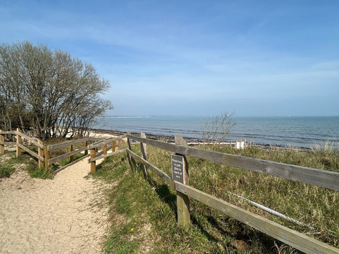 Sae Seaweed-Studland必去景点