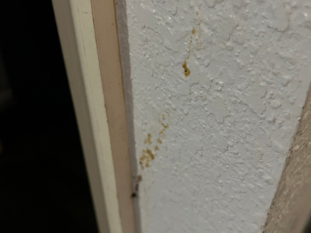 希尔顿欢朋套房酒店-韦尔斯湖主图