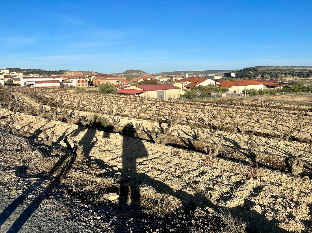 Bodegas Loli Casado-Lapuebla de Labarca必去景点