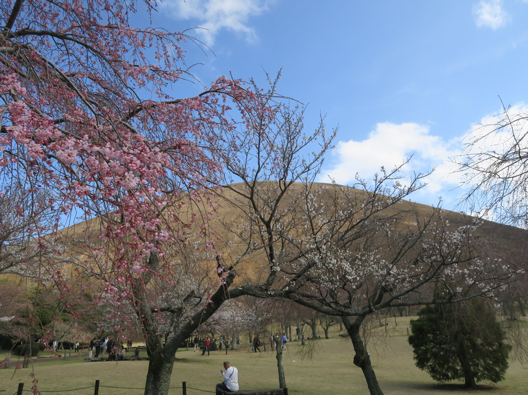 Sakura no Sato-伊东市必去景点