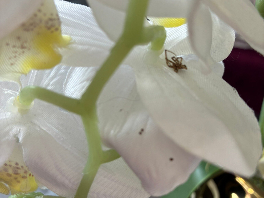 诺德施泰特广场高级公园酒店主图