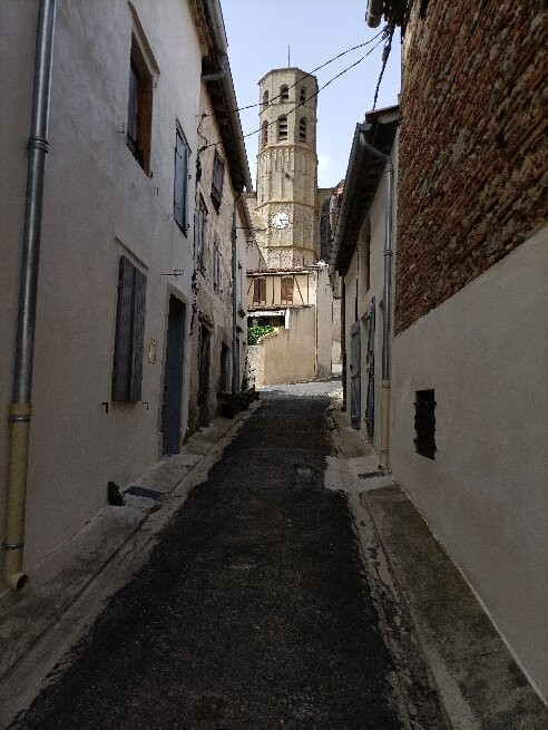 La Collégiale Saint Vincent-Montreal必去景点