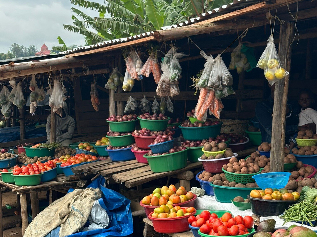 Taffies Safaris-坎帕拉必去景点