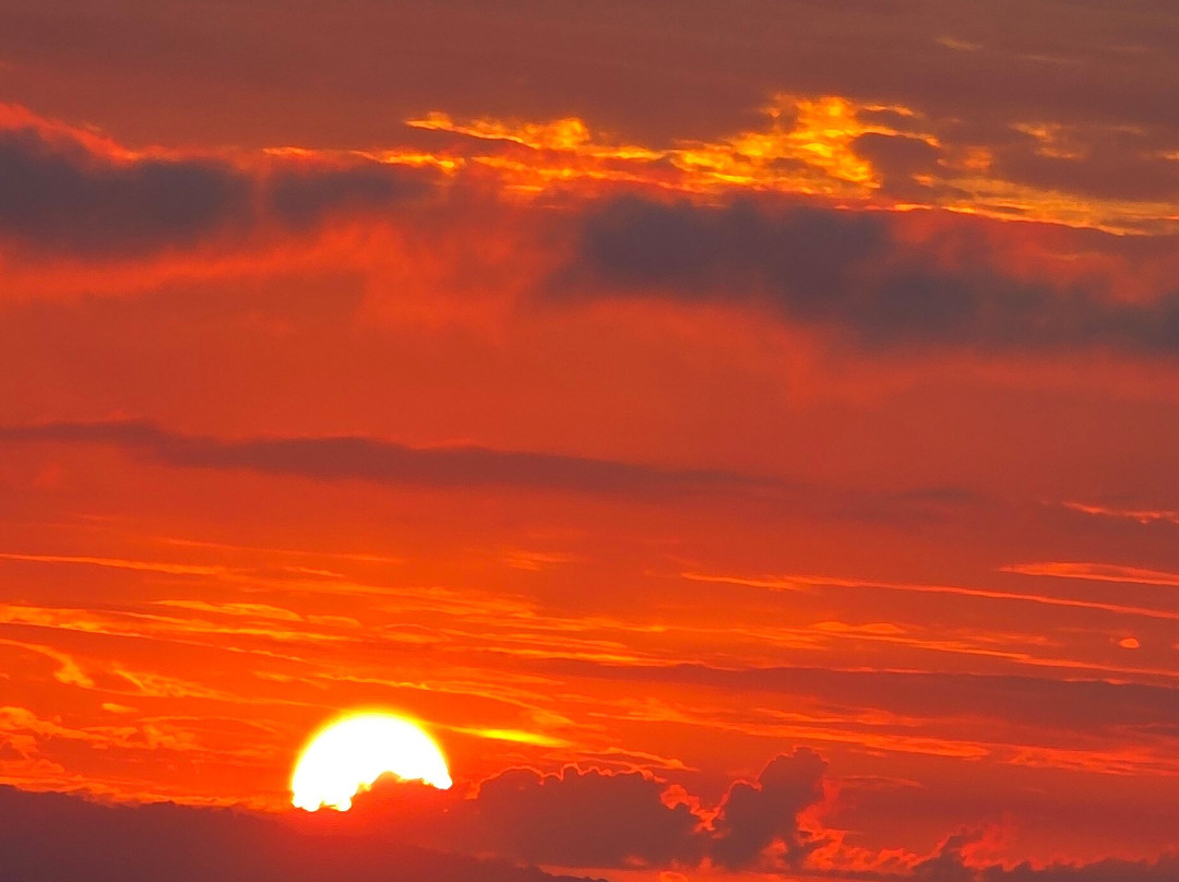 Surcos Tours-希门尼斯港必去景点