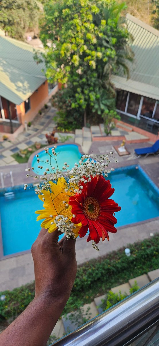 鲁莫尔斯天空别墅度假村-官方