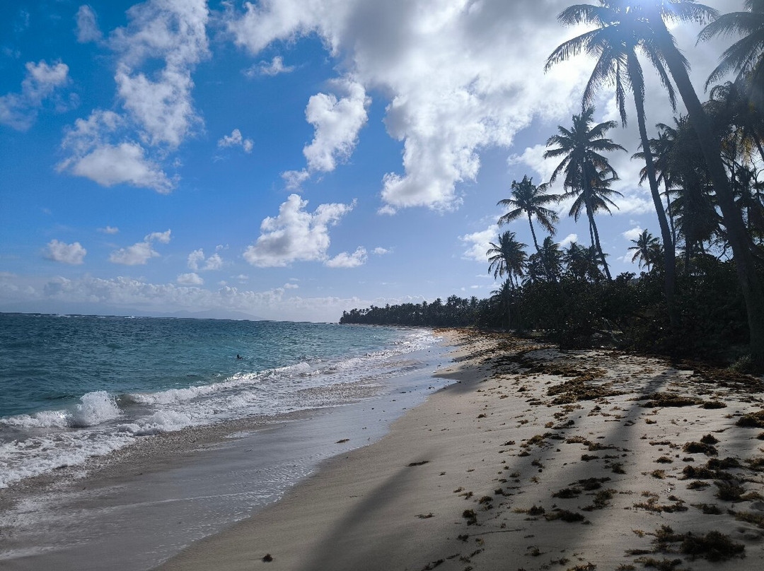 Feuillere Beach-Capesterre必去景点