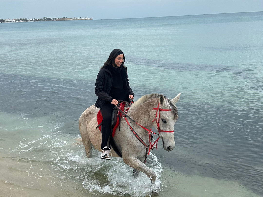 Club Equus Hammamet-哈玛麦德必去景点