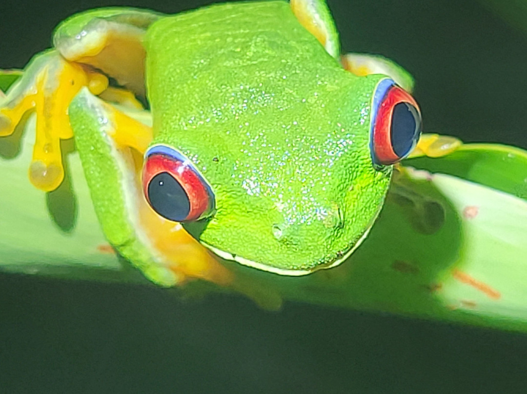 Santa Lucia Falls-乌维塔必去景点