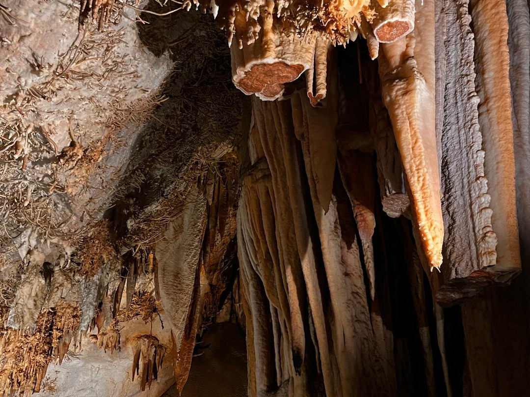Cueva De Pozalagua-Valle de Carranza必去景点