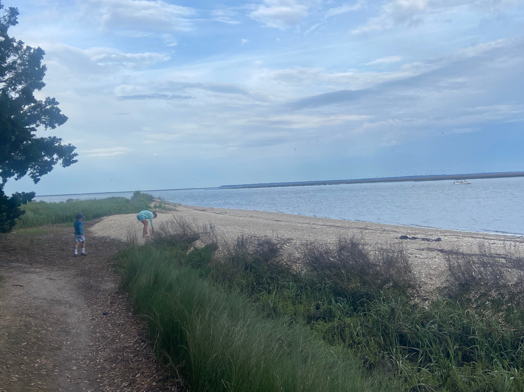 Shark Tooth Beach-吉柯岛必去景点