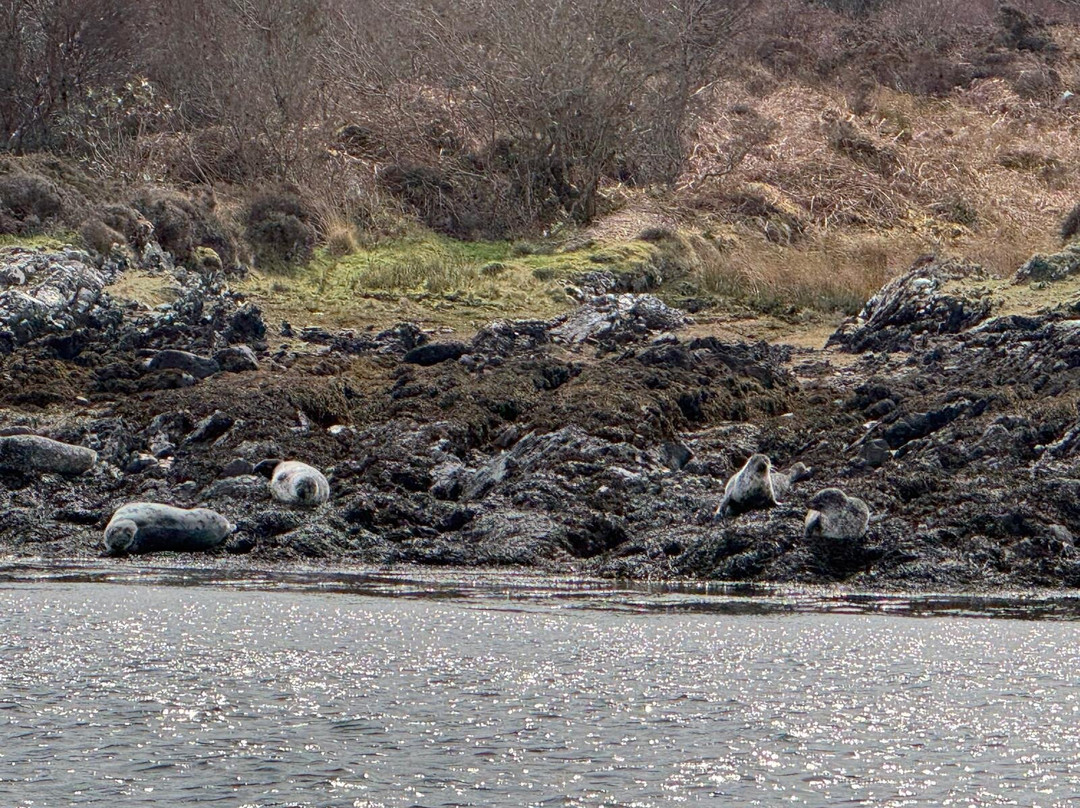 Seafari Adventures-Ellenabeich必去景点