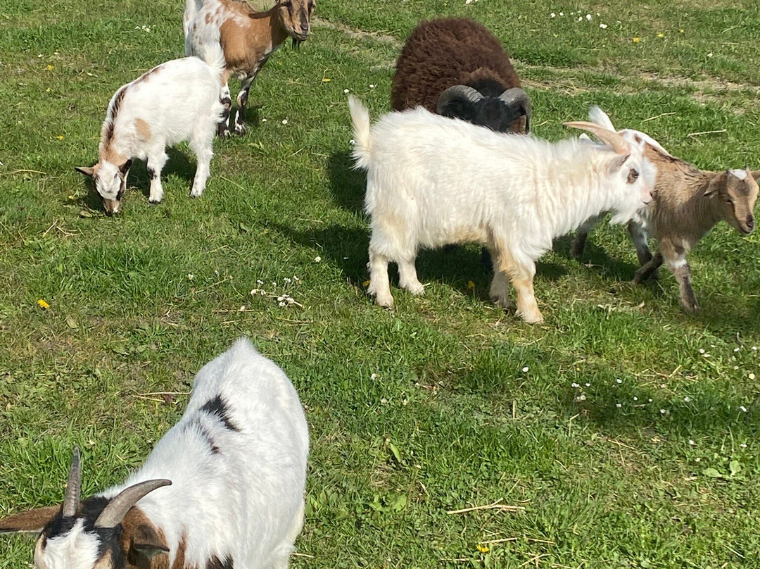 Ferme Saint Joseph主图