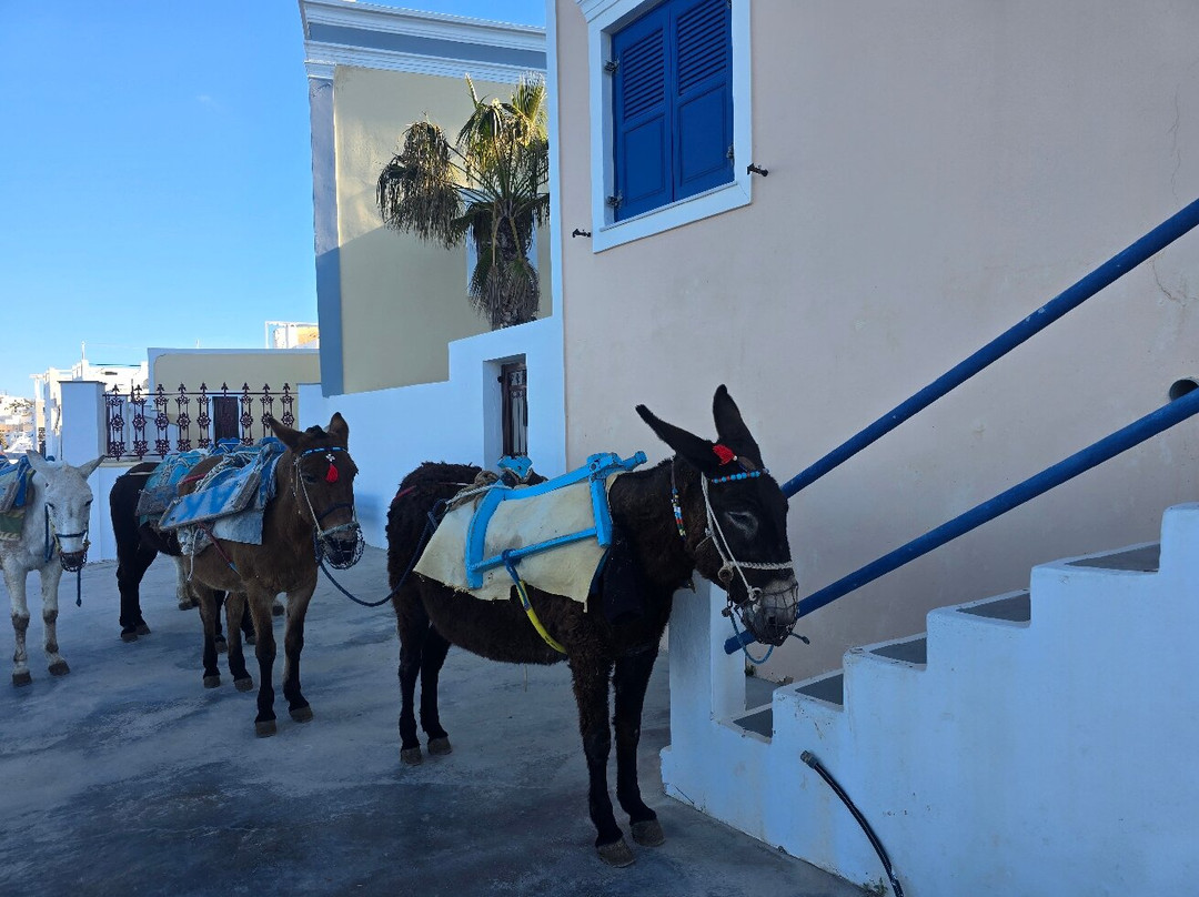 Santo Luxury Escape-Emporio必去景点