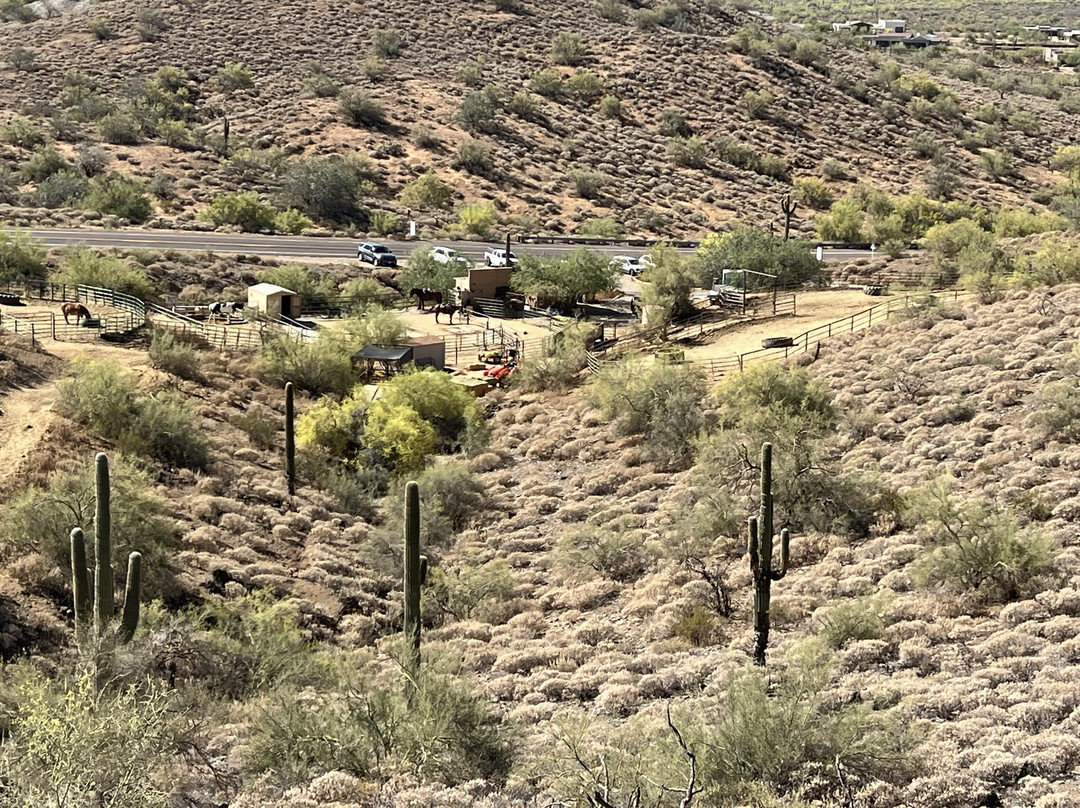 Cave Creek Trail Rides-洞溪必去景点