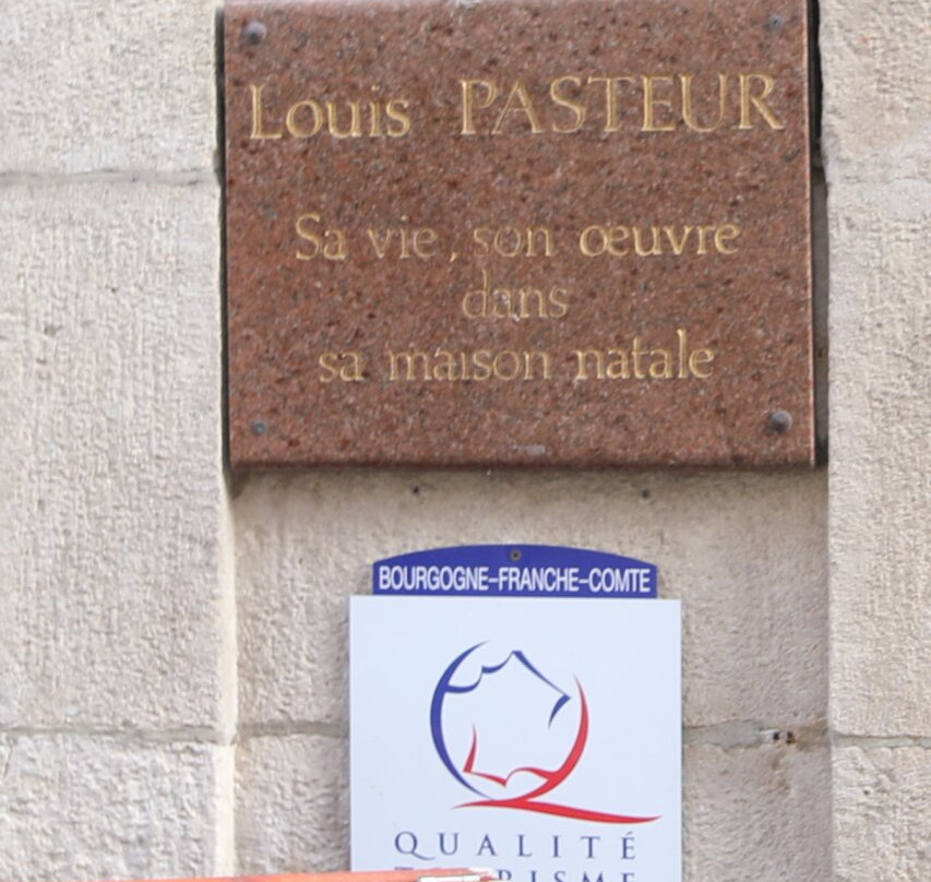 Maison natale de Louis Pasteur-多勒必去景点