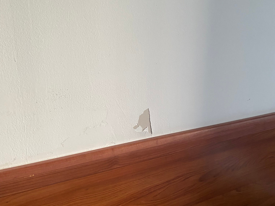 乌迪内标准酒店主图