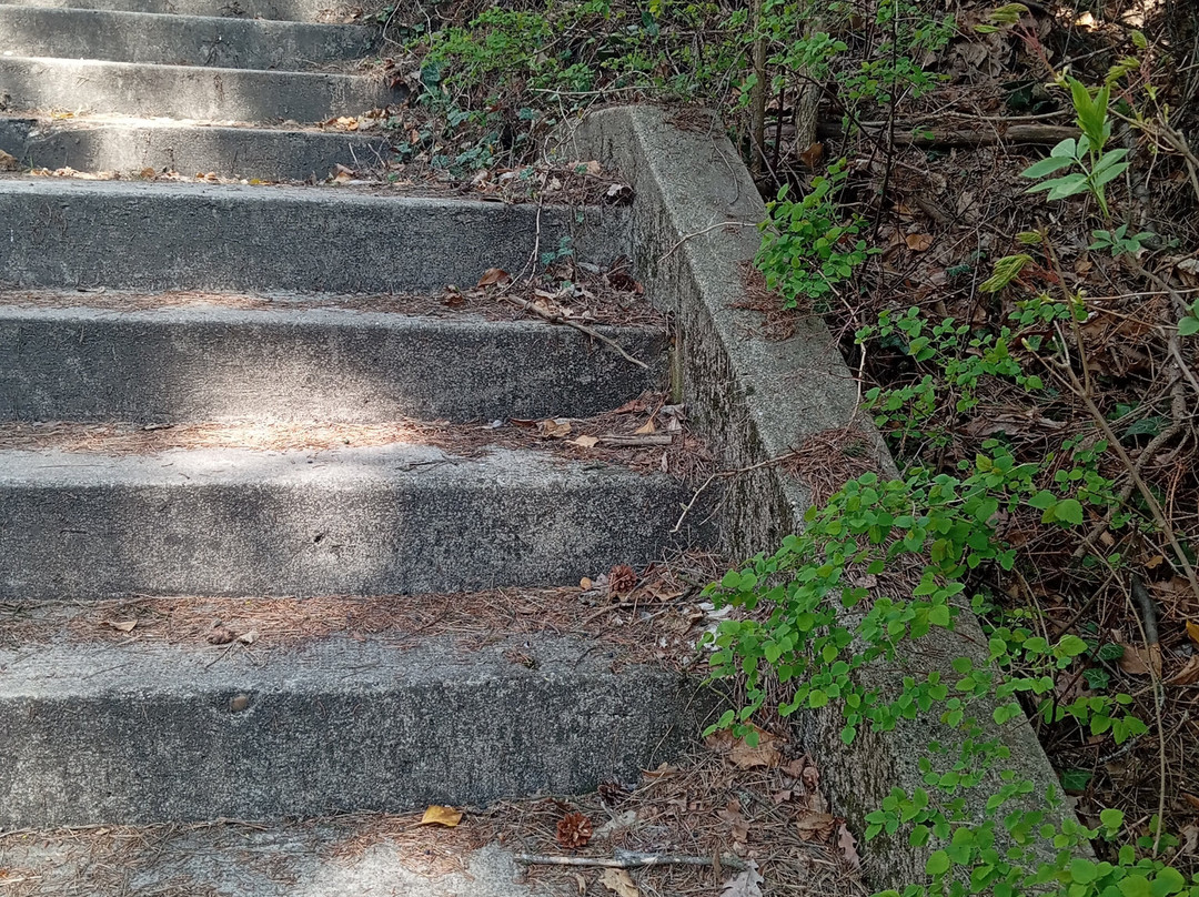 伊丽莎白公园酒店主图