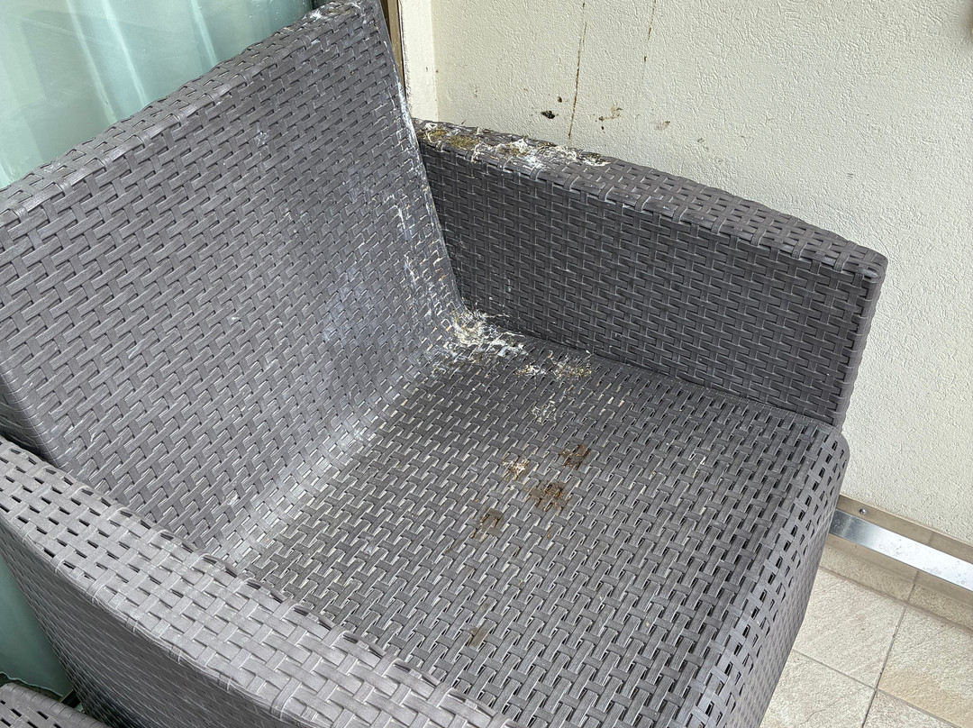 贝尔纳丁酒店主图