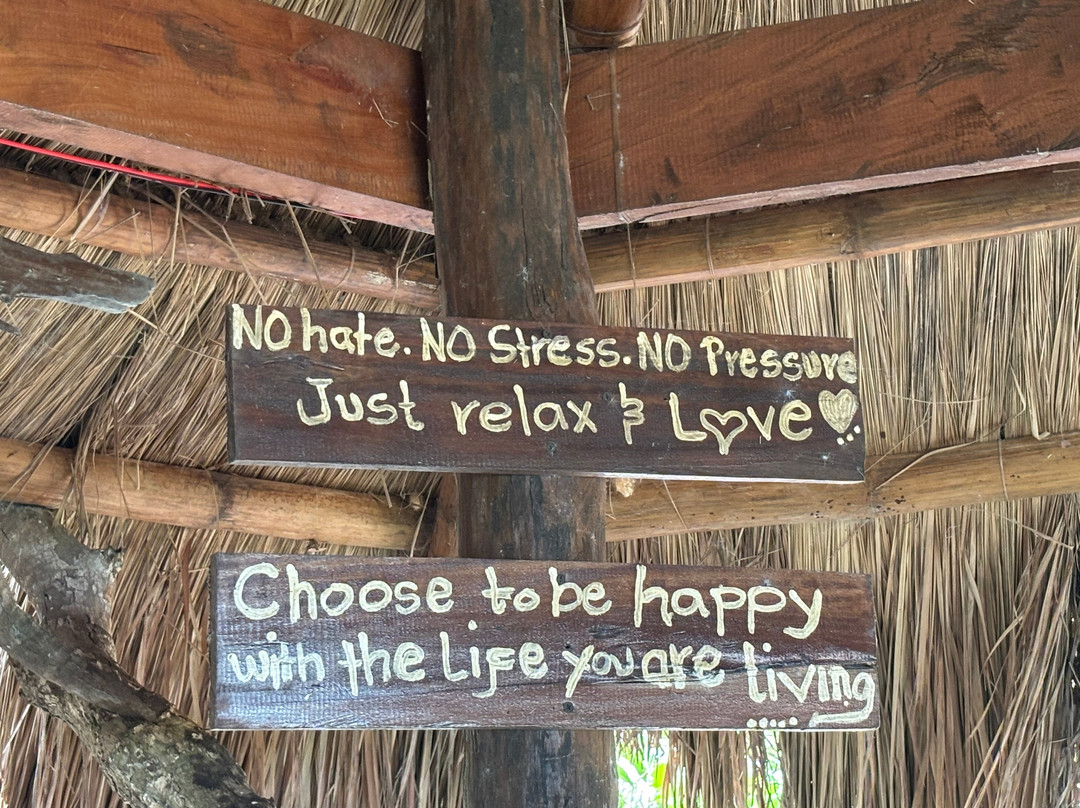 岛桑科图阿里亚树屋酒店主图