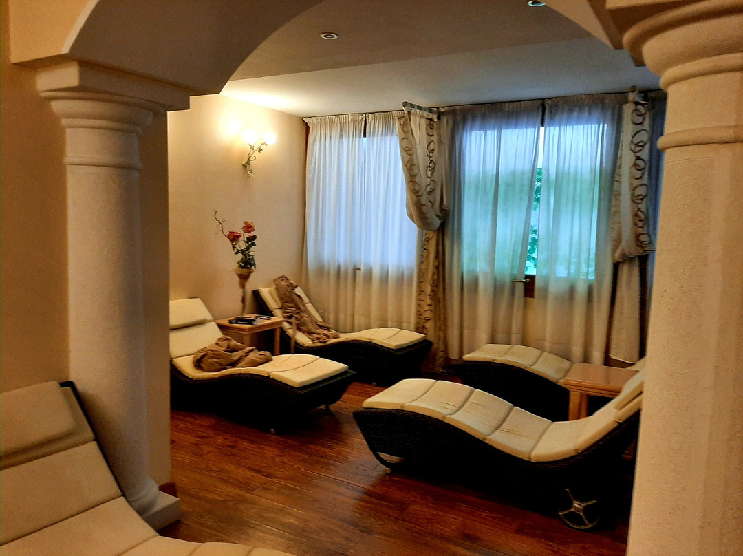 加尔达索尔美丽 SPA 公寓酒店主图