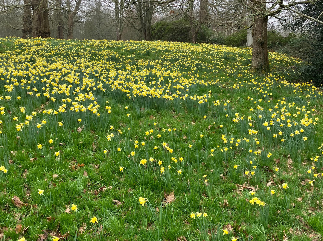 Petworth House and Park-佩特沃斯必去景点